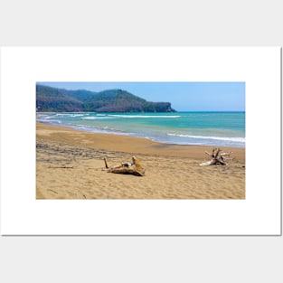 Two dead woods at a sand beach Posters and Art